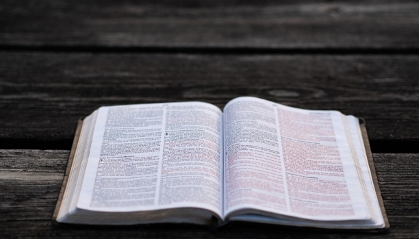 Bible Study